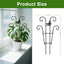 Enrejado metal para plantas trepadoras hiedra Hoya Pothos 2