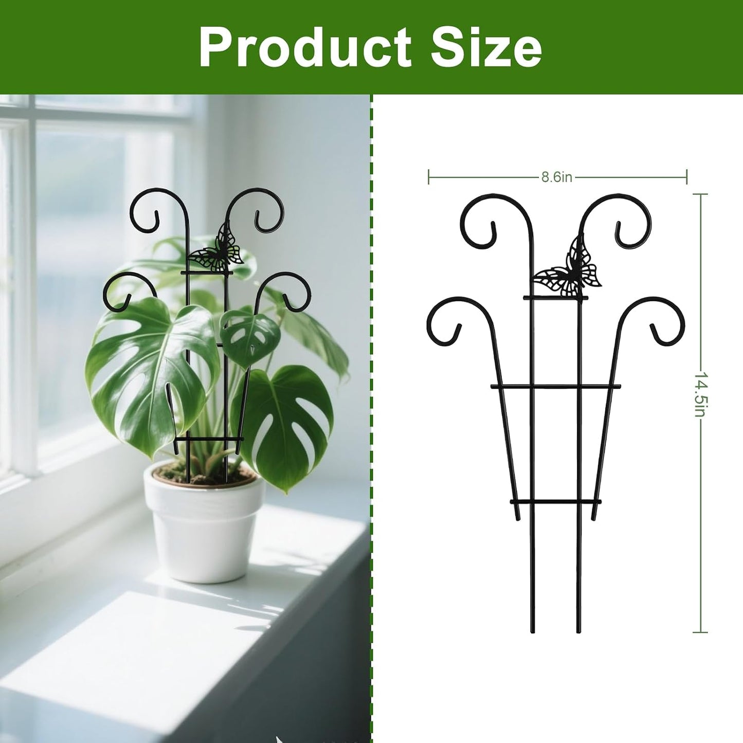 Enrejado metal para plantas trepadoras hiedra Hoya Pothos 2
