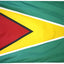 Bandera Guyana 3x5ft multicolor fabricada EE.UU.