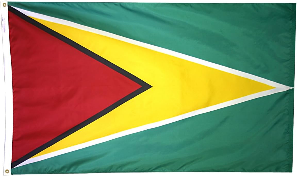 Bandera Guyana 3x5ft multicolor fabricada EE.UU.