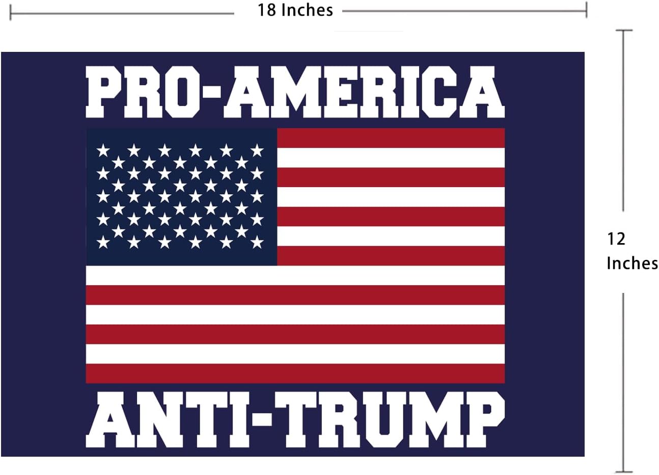 Letrero anti Trump pro Biden patio 12x18"
