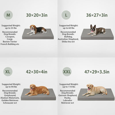 Cama perro impermeable grande con funda lavable
