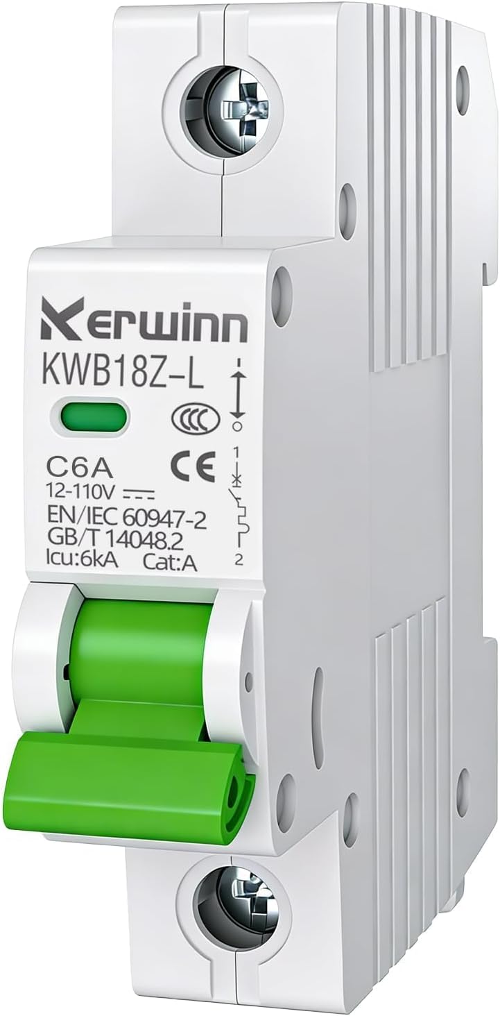 Interruptor circuito mini DC 12V-110V 6A carril DIN