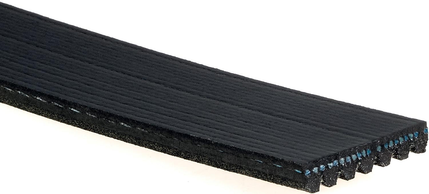Cinturón serpentino acanalado en V color negro