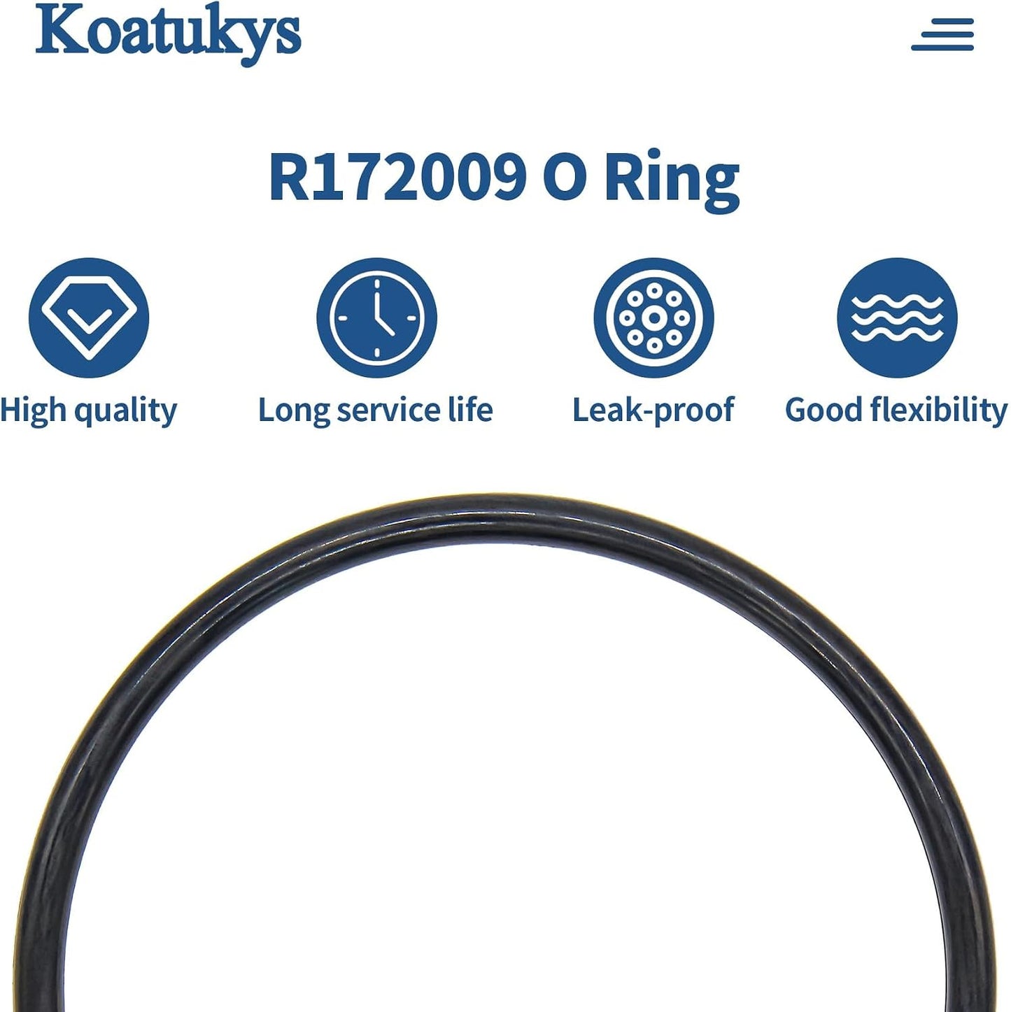 Tapa O-Ring para Cloradora Pentair Rainbow 300/320