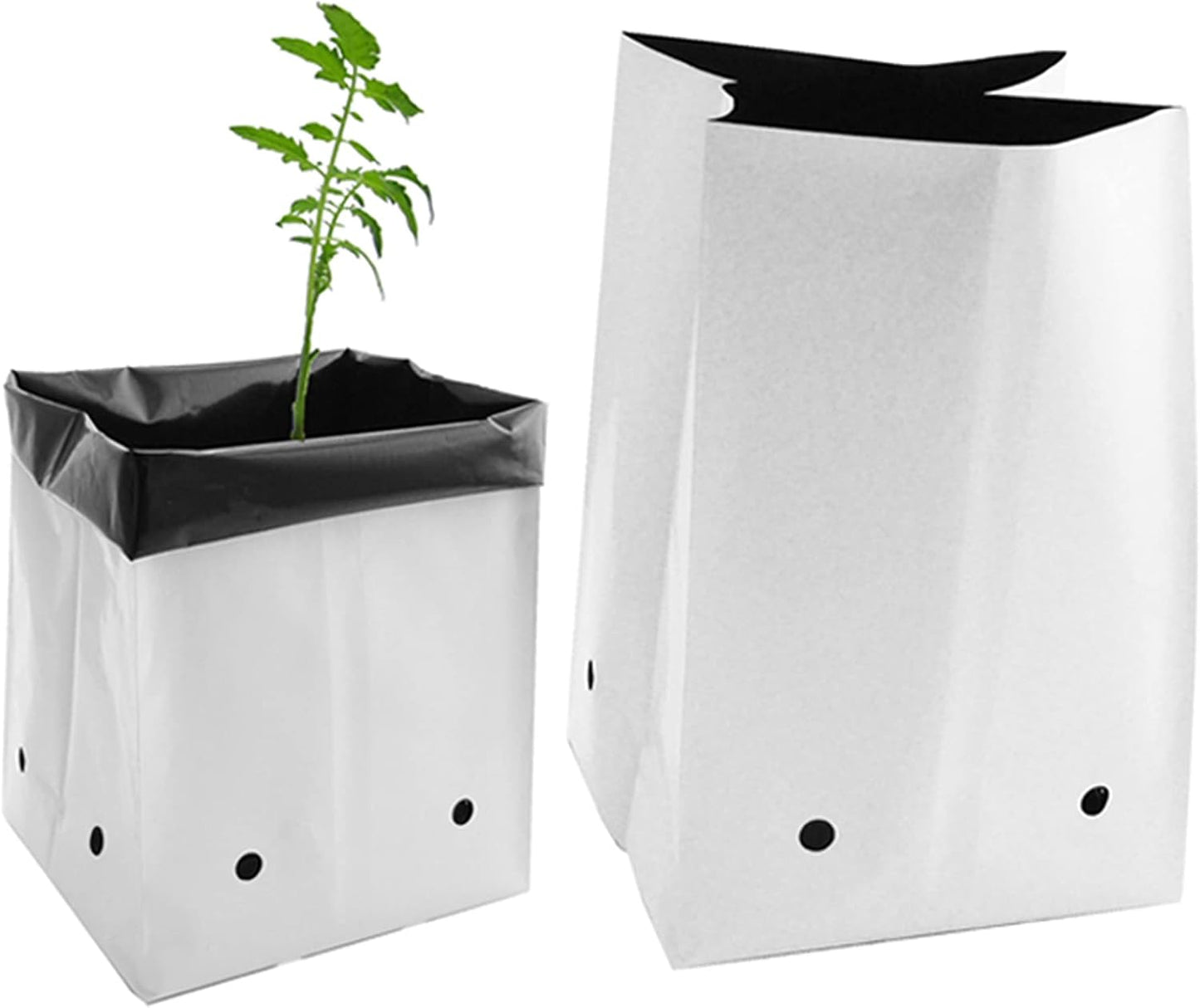 Bolsas de cultivo
