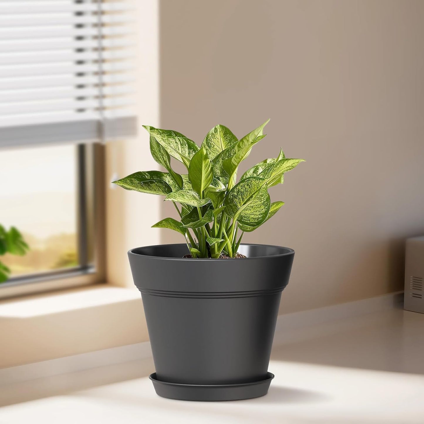 Macetas plástico 4pulg drenaje bandejas pack 8 para plantas