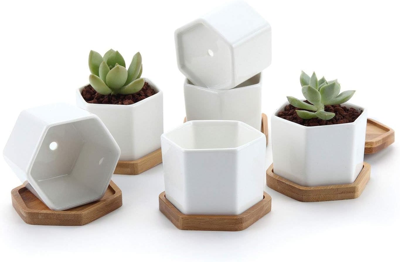Macetas blancas suculentas con bandeja bambú hexagonal set 6