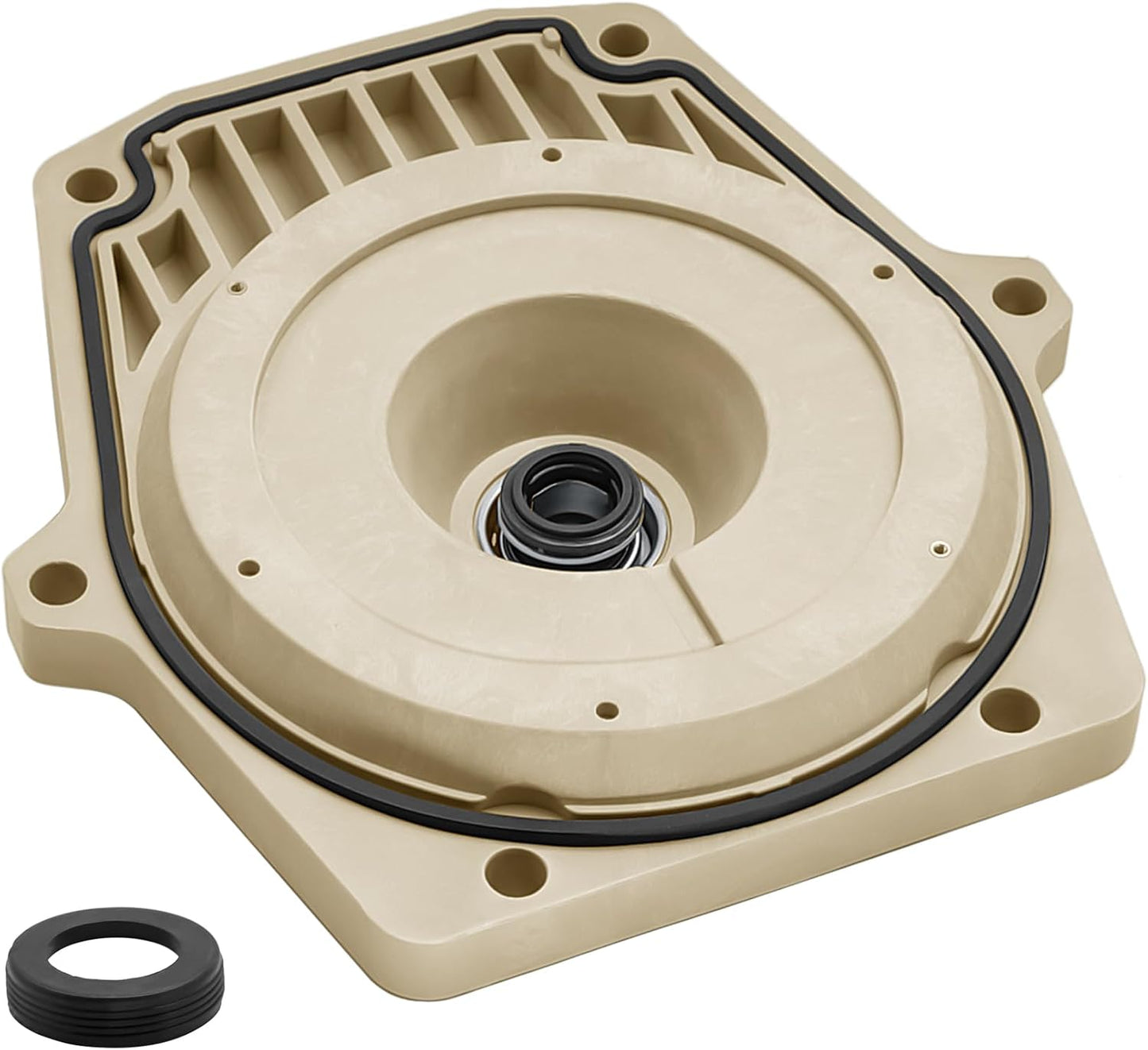 Repuesto placa sello bomba Pentair Whisperflo