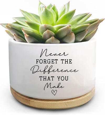 Maceta para suculentas regalo inspirador para compañeros