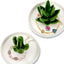 2 Pzas Soporte Cerámica Anillos Cactus Decoración