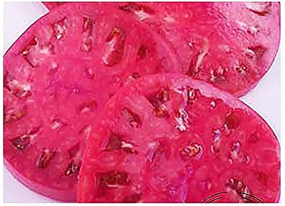 Semillas tomate sandía para cultivo casero