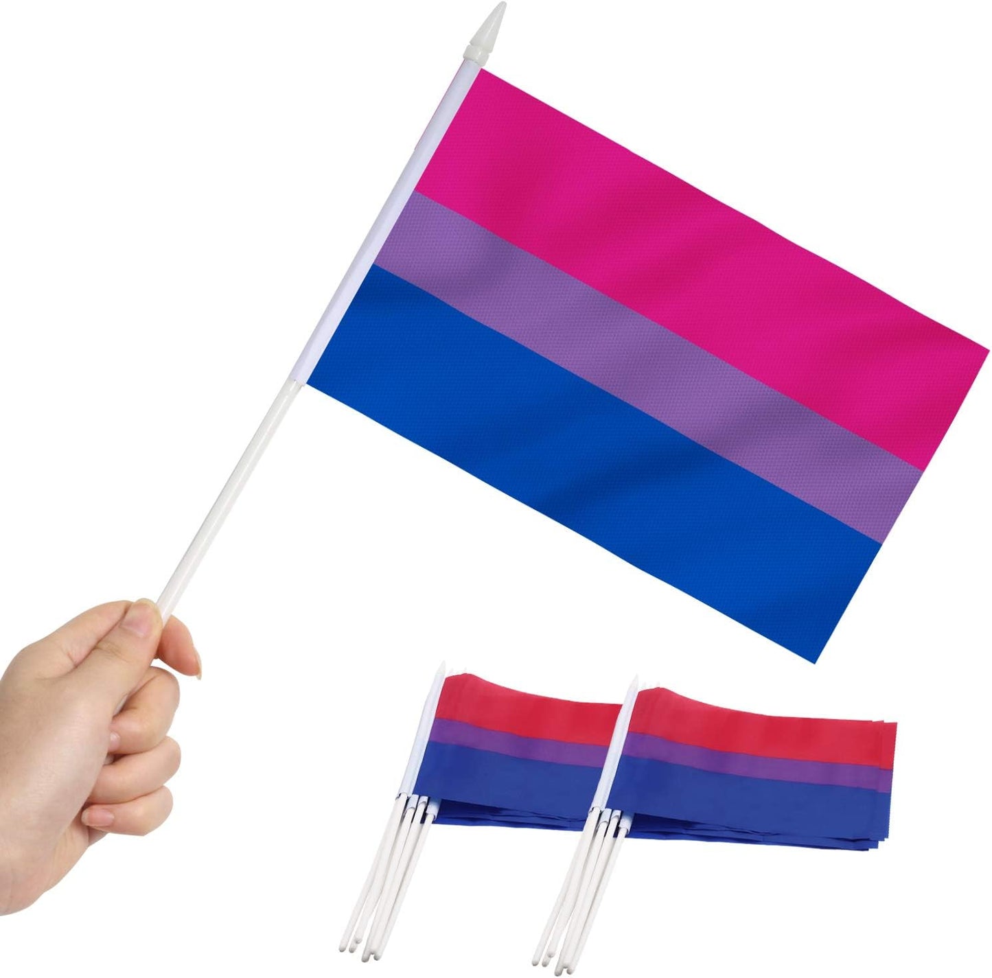 12 Banderas Bisexual Mini 5x8pulg Resistentes