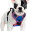 Arnés perro grande sin tirón chaleco Oxford ajustable azul