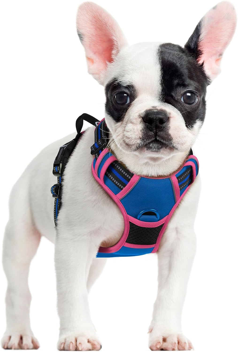 Arnés perro grande sin tirón chaleco Oxford ajustable azul