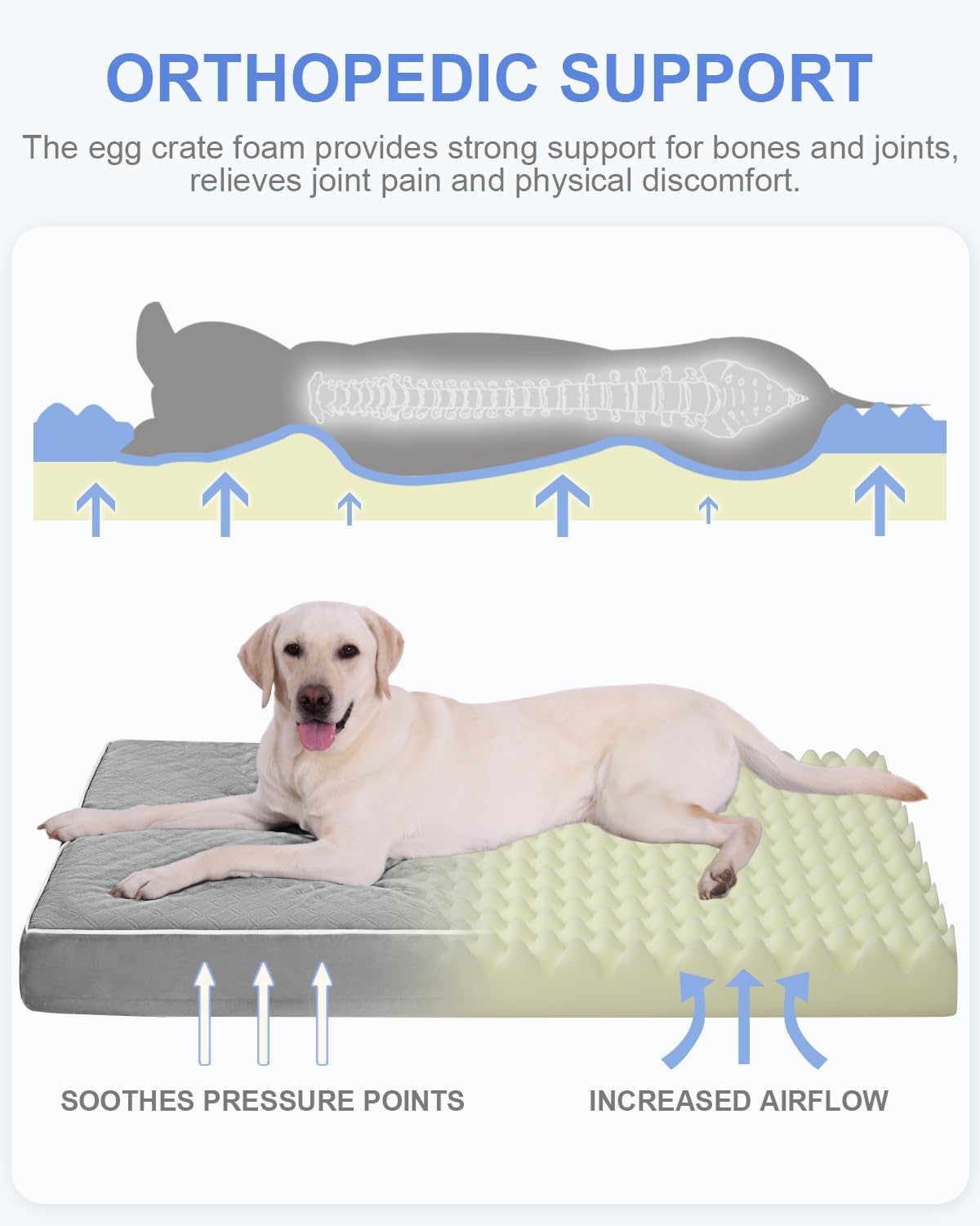 Cama ortopédica perros XL jaula con funda lavable impermeable
