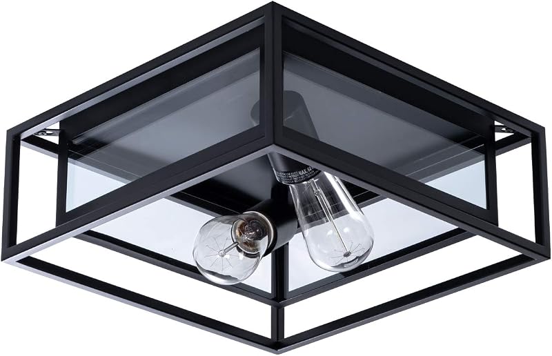 Lámpara techo cuadrada negra vidrio dos luces