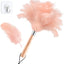 Plumero avestruz rosa madera 13.5pulg limpieza