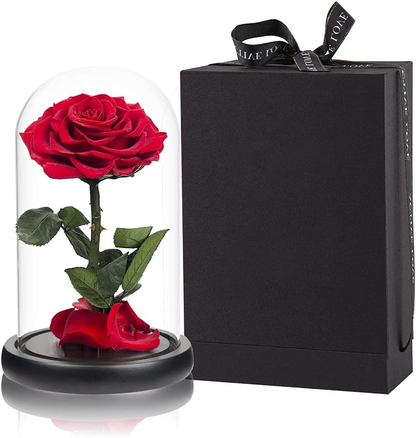 Rosas rojas en cúpula cristal preservadas regalo romántico