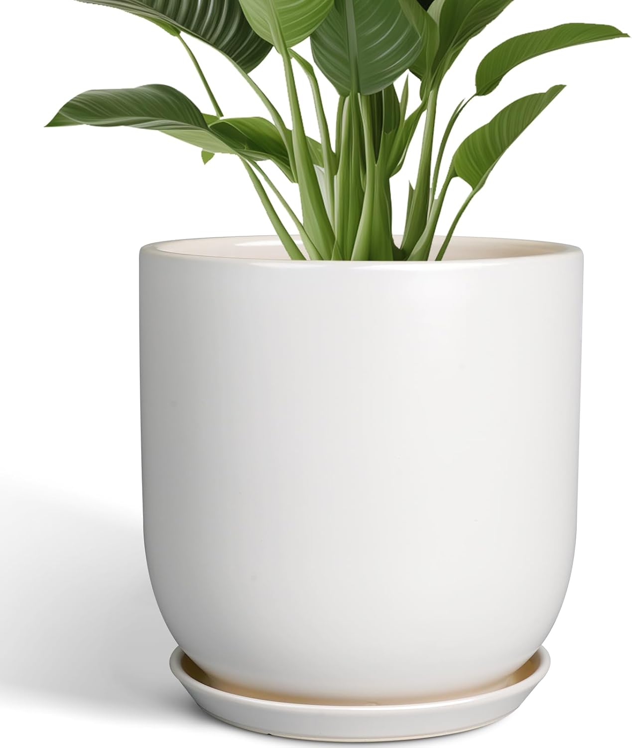 Maceta cerámica 12pulg para plantas interior exterior blanca