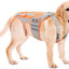 Soporte espalda perro artritis IVDD XXL
