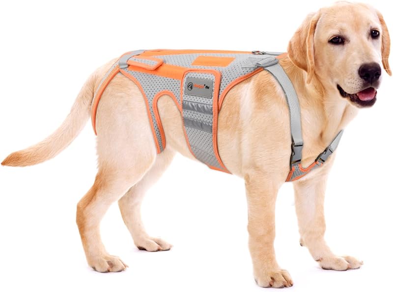 Soporte espalda perro artritis IVDD XXL