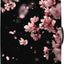 Funda equipaje antiarañazos 20-34pulg Flor de Cerezo