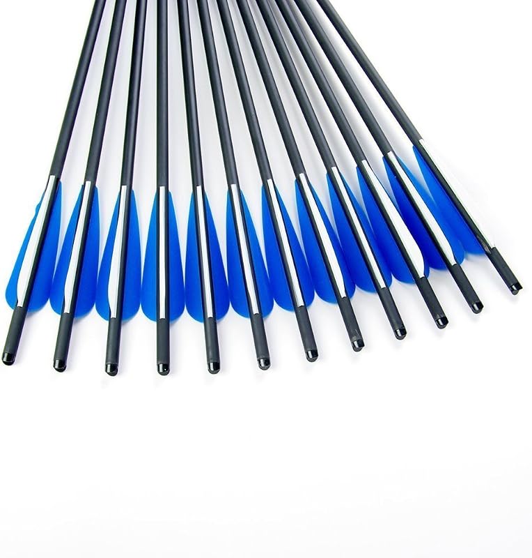 Flechas carbono 20pulg con punta 4pulg reemplazable