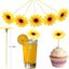 100 Palillos Bambú Brochetas Aperitivo 4.7pulg Girasol