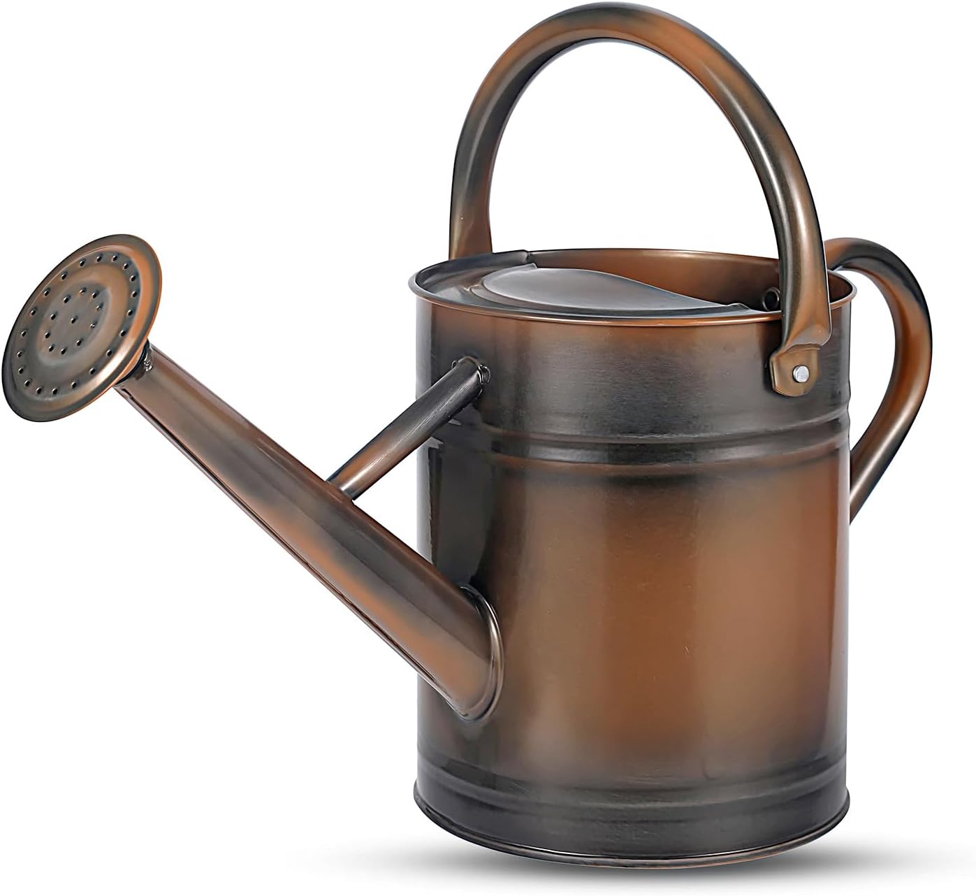 Regadera acero galvanizado 1gal boquilla ergonómica