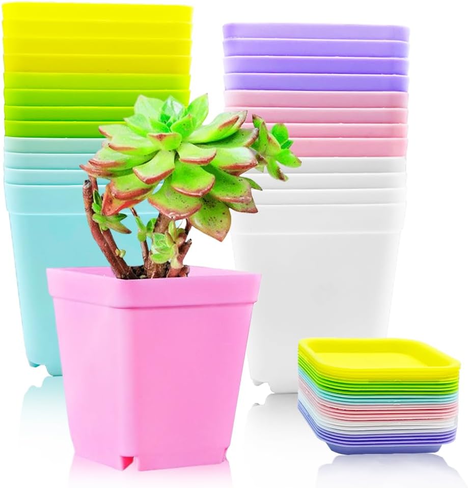24 Macetas Cuadradas Plástico para Suculentas y Plantas