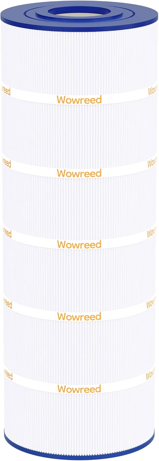 Filtro piscina comp SwimClear C200S CX200XRE