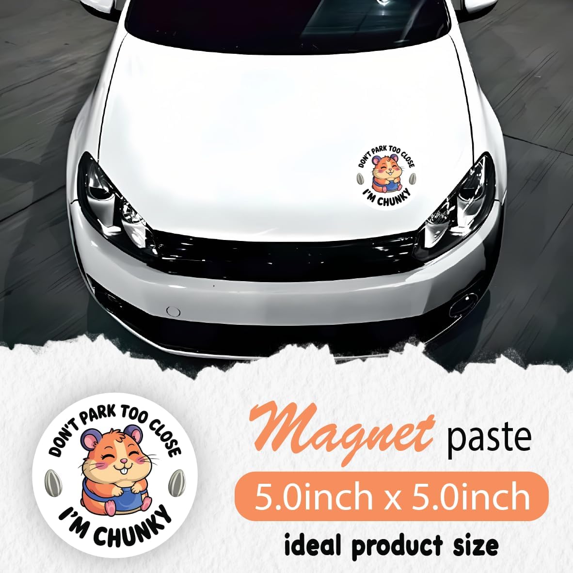 Imán automóvil hámster 5pulg divertido y duradero