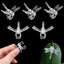100 Clips Orquídea Soporte Jardín Transparentes