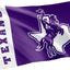 Bandera TSU Texans 3x5ft 100% poliéster interiores