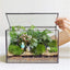 Terrario vidrio tapa caja negra plantas interior decoración mesa