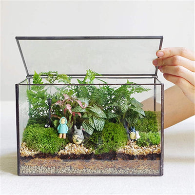 Terrario vidrio tapa caja negra plantas interior decoración mesa