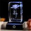 Luz Nocturna Cristal Rosa 3D Regalo para Mujer