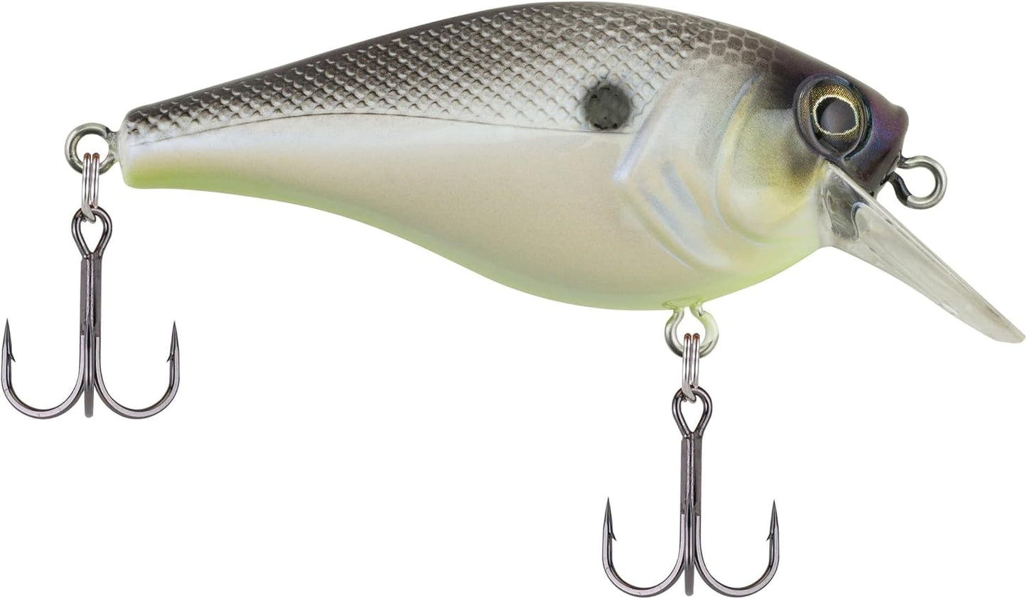 Squarebull Gilly 5.5