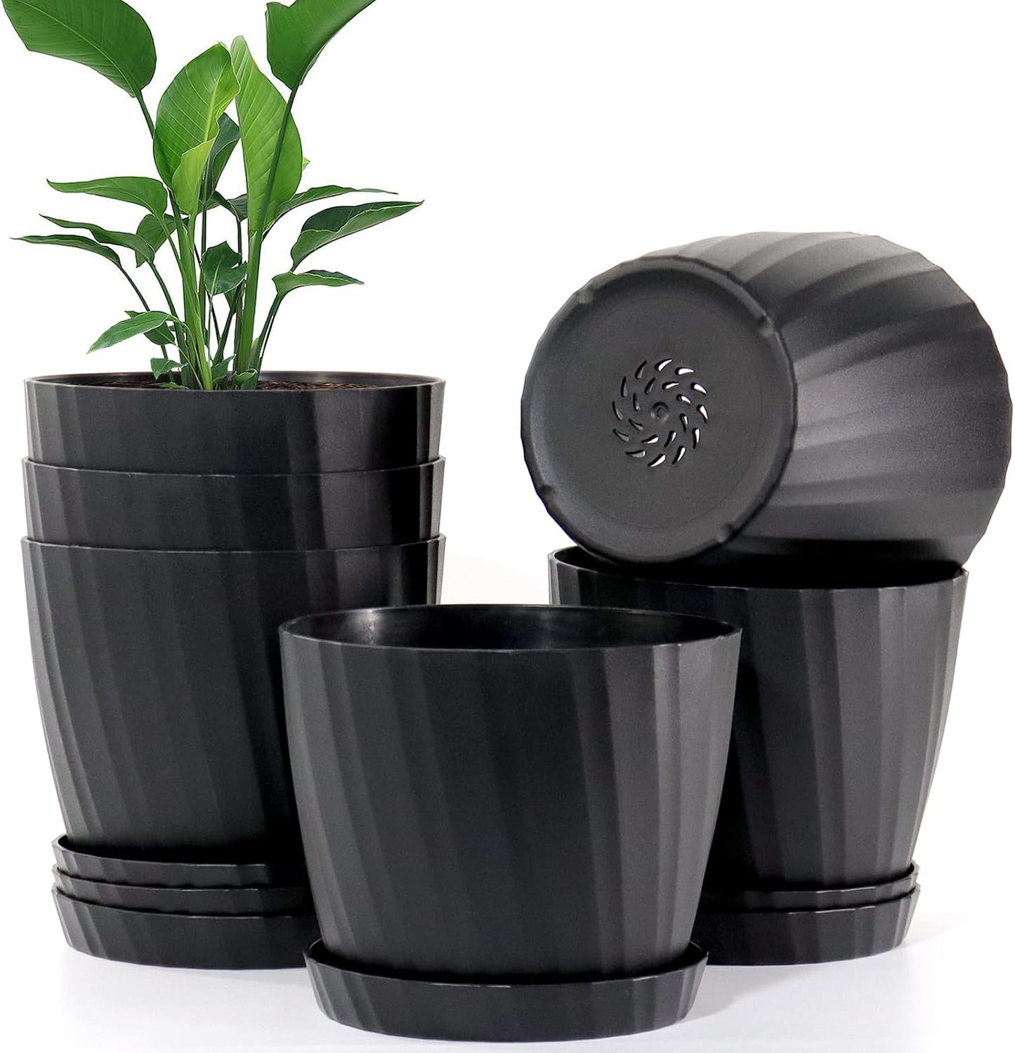6 Pzas Maceta Plástico 6pulg Drenaje Negro