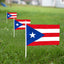 12 Mini Banderas Puerto Rico 5x8pulg Resistentes