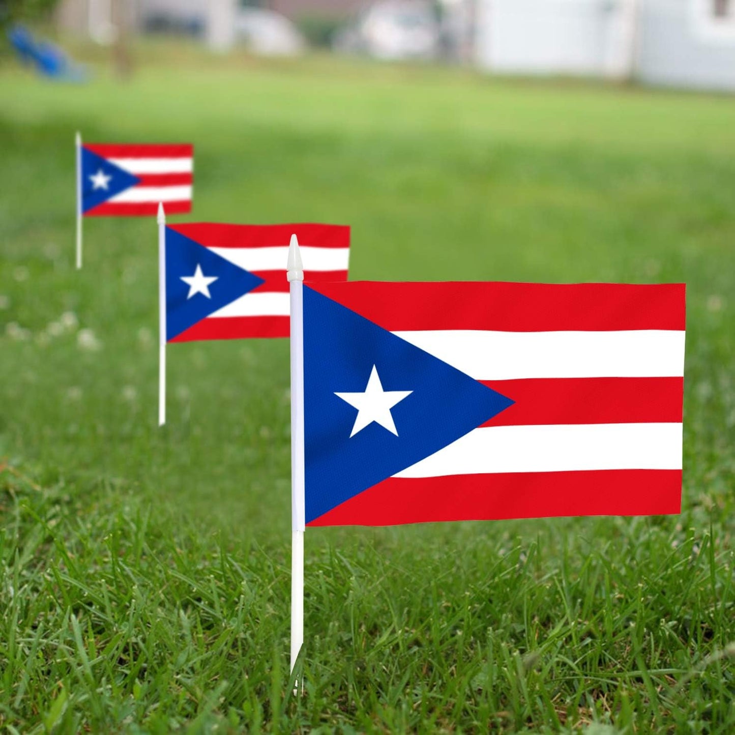 12 Mini Banderas Puerto Rico 5x8pulg Resistentes