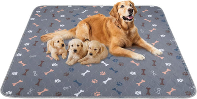 Almohadillas orina perro reutilizables paquete 2 rápida absorción