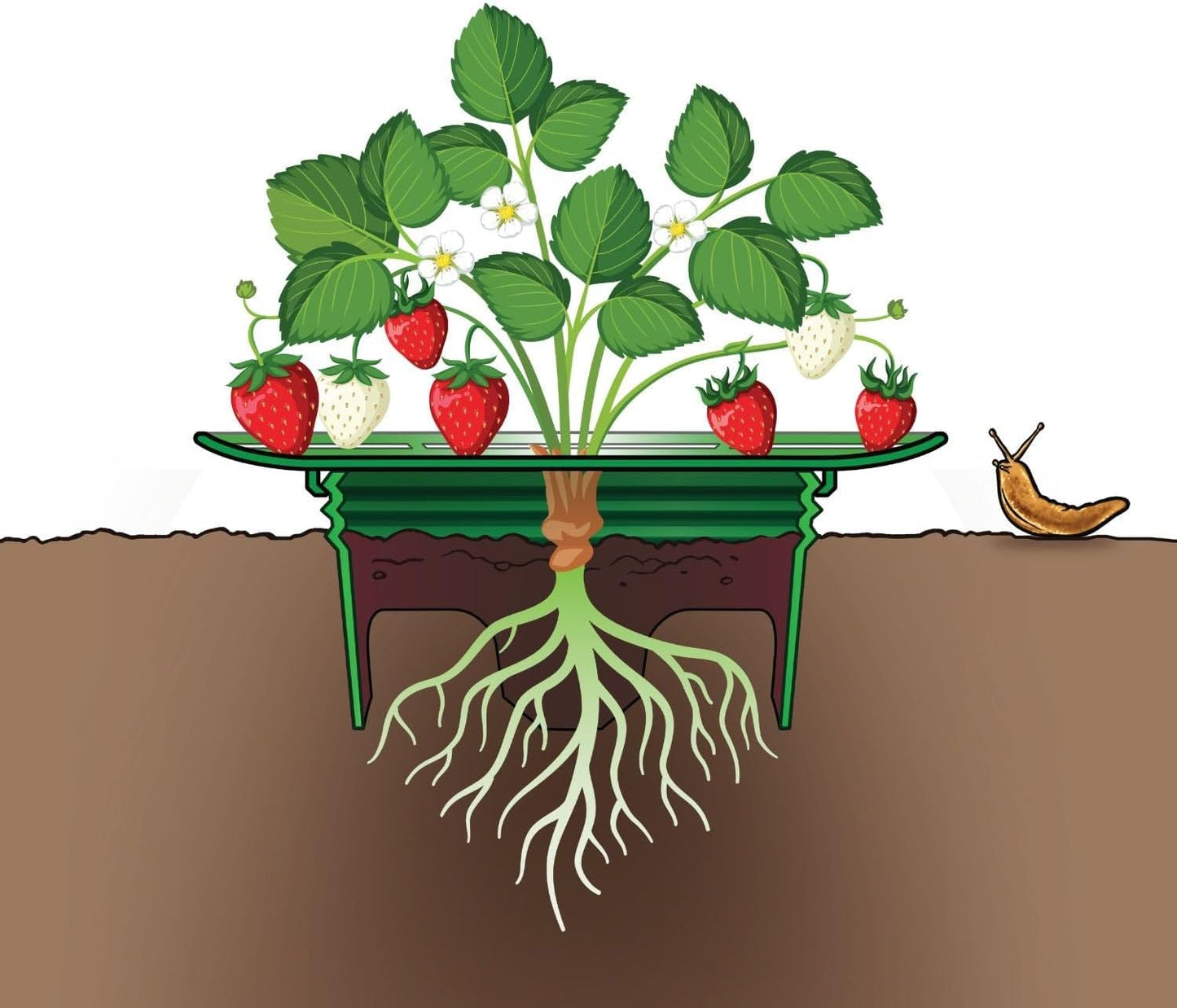 Marco soporte plantas fresa 12pulg pack 4