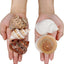 Conchas cangrejo ermitaño 3-3.5pulg decoración sin pintura