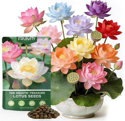 60 Semillas Loto y Lirio Acuático para Estanques y Jardín