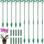 Pack 20 estacas ajustables soporte plantas orquídeas tomate rosas