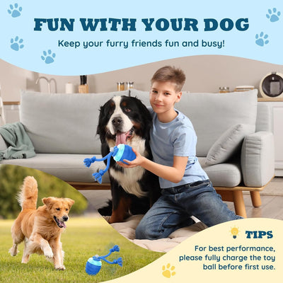 Juguetes interactivos perros tacto pelota rebota cuerda chirriante