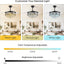 Ventilador techo Fandelier 42pulg con luz LED regulable 6