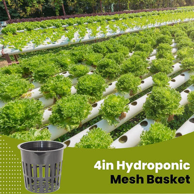 30 Macetas Red 4" Hidropónicas para Cultivo Interior